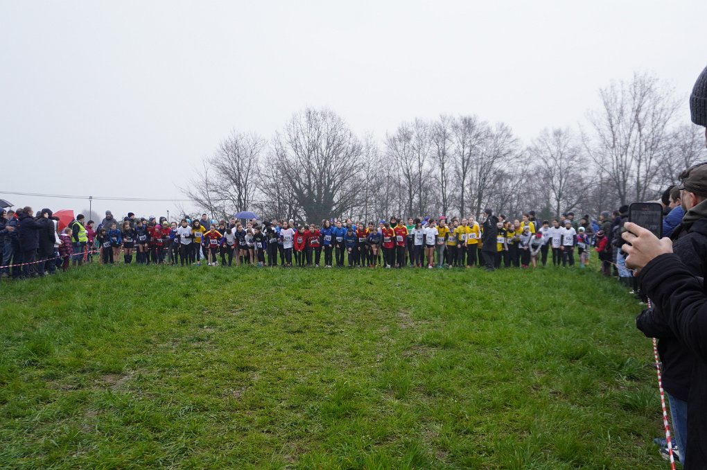 DSC00700