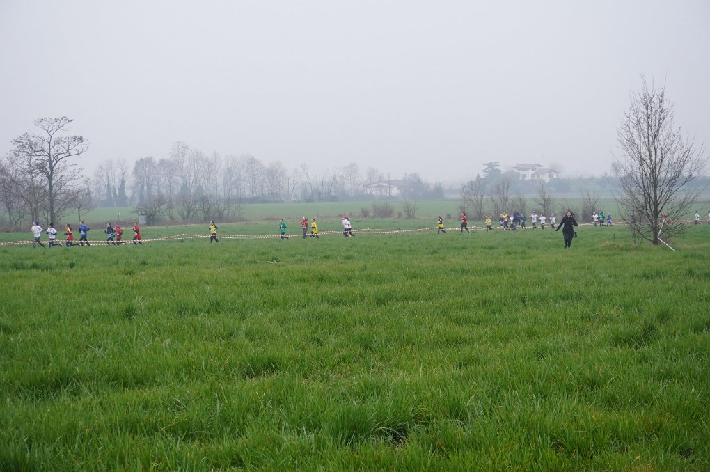 DSC00911