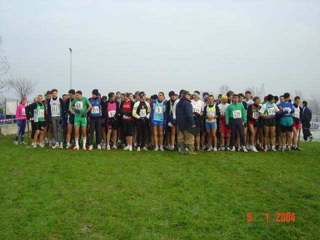 Foto 19