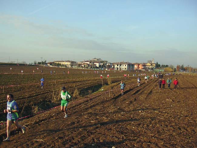 Foto 07